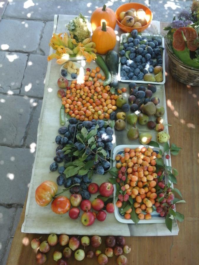 Palazzago Bio&B Cascina Montebello מראה חיצוני תמונה